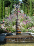 Blumeninsel